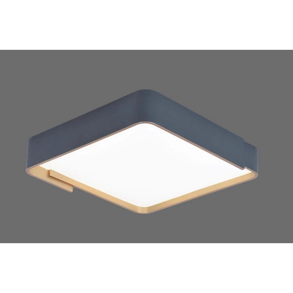 Потолочный светильник LED Alfa Light F0724-36-82385