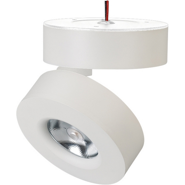 LED спот SP-MONA-SURFACE-R100-12W Warm3000 (WH, 24 deg) (Arlight, IP40 Металл, 3 года) 025440(1)-64921