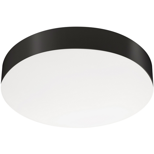 Потолочный светодиодный светильник с аккумулятором IM-FLOWER-EMERGENCY-3H-R410-32W Day4000-MIX (BK, 110 deg, 230V) (Arlight, IP54 Пластик) 042569-18555