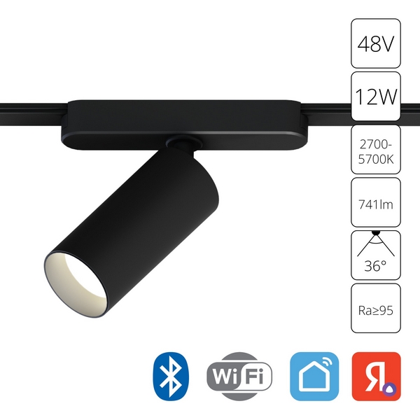 Магнитный трековый светильник LED 48V 12W Arte Lamp Rapid A2958PL-1BK-57890 (Умный дом, Алиса)