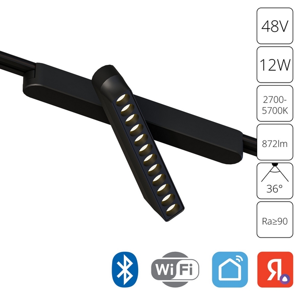 Магнитный трековый светильник LED 48V 12W Arte Lamp Rapid A2961PL-1BK-57890 (Умный дом, Алиса)