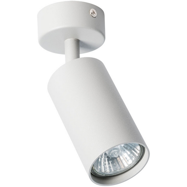 Спот Arte Lamp Aquarius A3216PL-1GY-94373