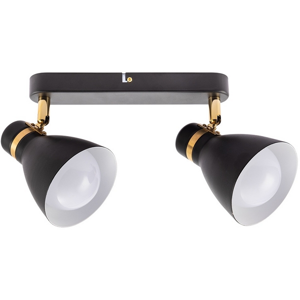 Спот Arte Lamp Fafnir A5047PL-2BK-85278