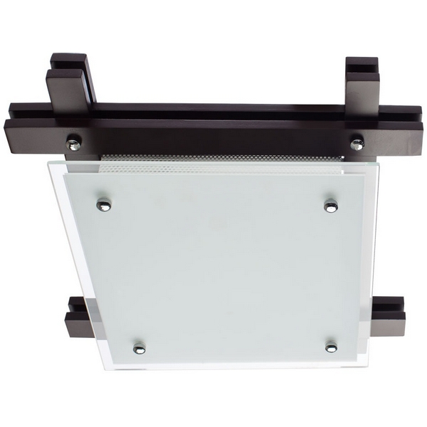 Потолочный светильник Arte Lamp Archimede A6462PL-2CK-85278