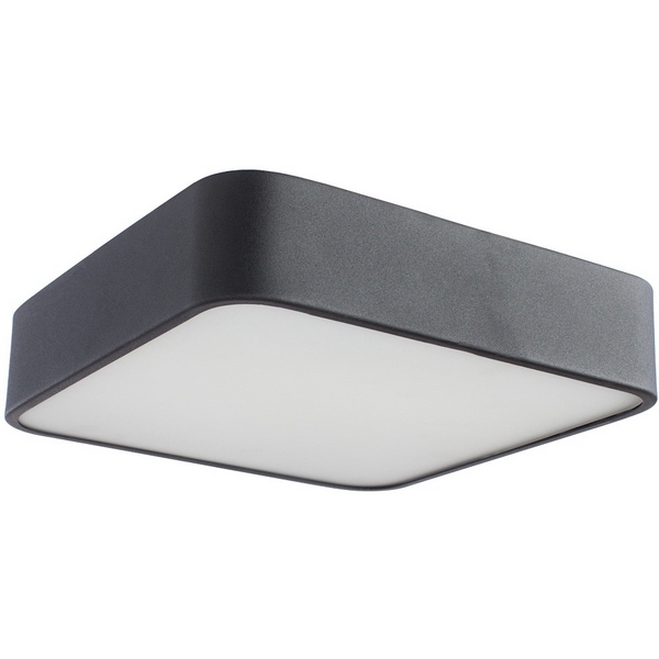 Потолочный светильник Arte Lamp Cosmopolitan A7210PL-2BK-85278
