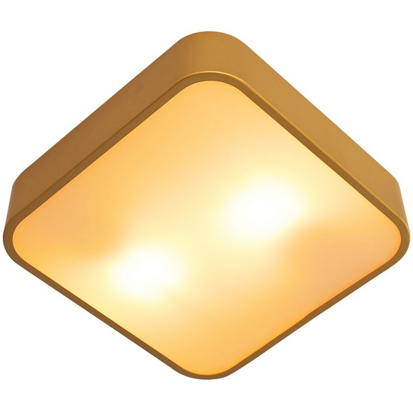 Потолочный светильник Arte Lamp Cosmopolitan A7210PL-2GO-85278