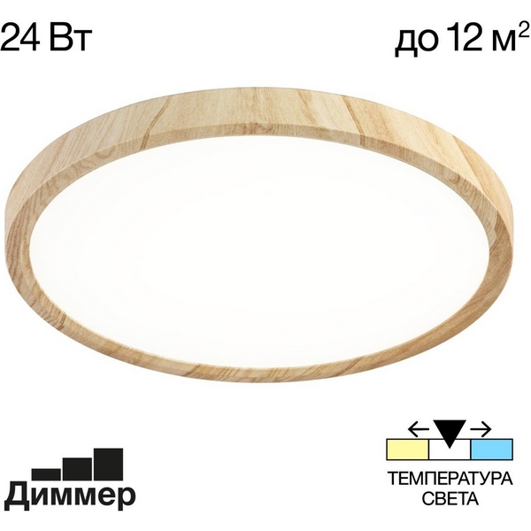 Настенно-потолочный светильник Citilux Бейсик CL738242V-67373