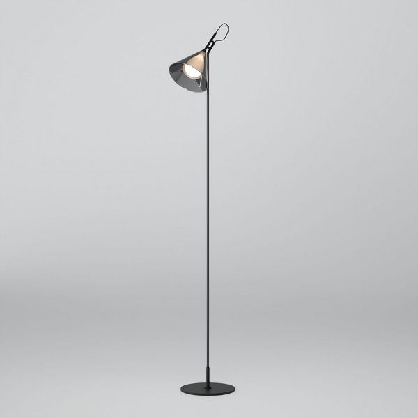 Торшер Eurosvet Enigma 01187/1