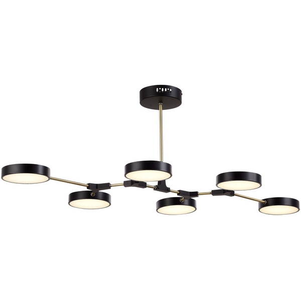 Потолочная светодиодная люстра с пультом управления на штанге Evoluce Monta SLE6004-402-06-60993