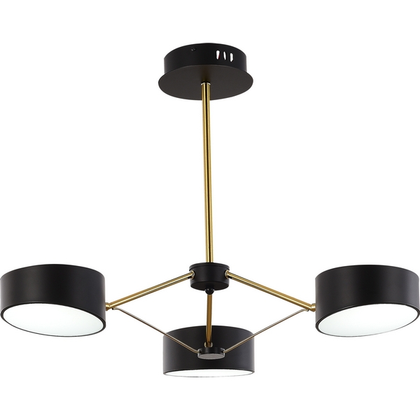 Потолочная светодиодная люстра с пультом управления на штанге Evoluce Valle SLE6005-402-03-60993