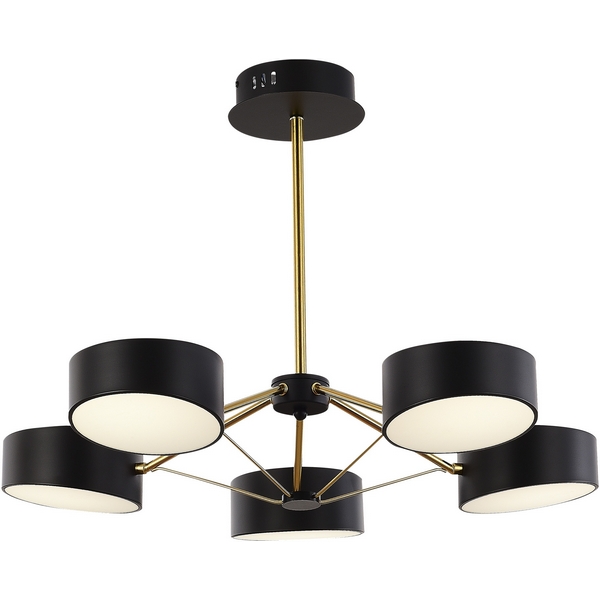 Потолочная светодиодная люстра с пультом управления на штанге Evoluce Valle SLE6005-402-05-60993