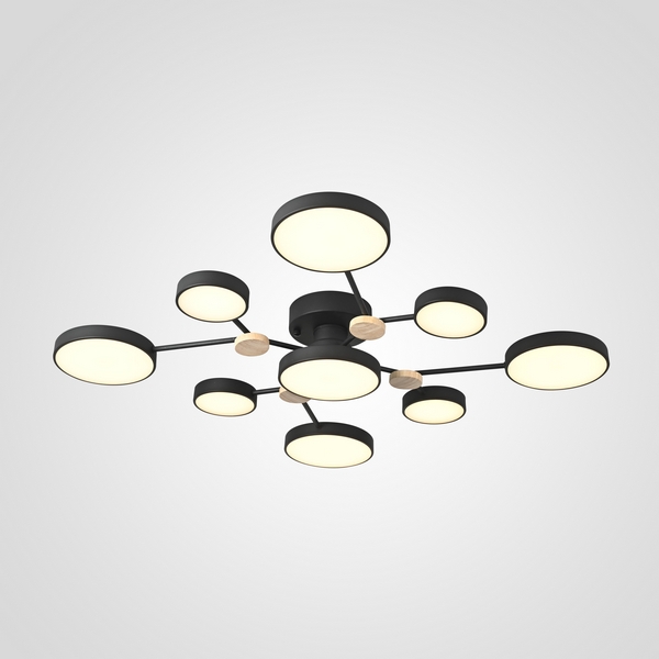 Потолочная светодиодная люстра с пультом управления на штанге Gamma D98 Black Imperiumloft Gamma01-18030 (223769-23)