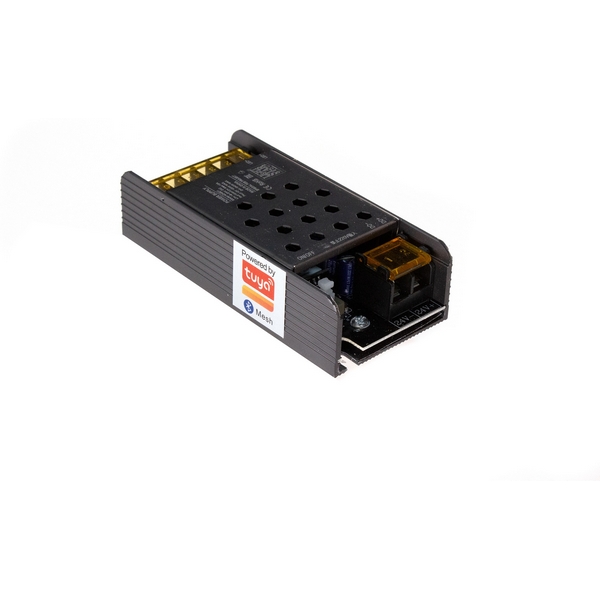 Контроллер для управления монохромной лентой (1 цвет) Lightstar 424901-08788