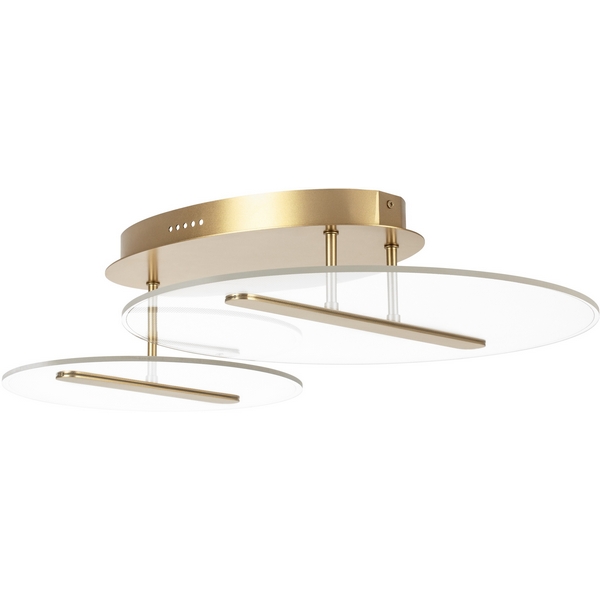 Потолочная светодиодная люстра на штанге Lightstar Acrile 738053-62740