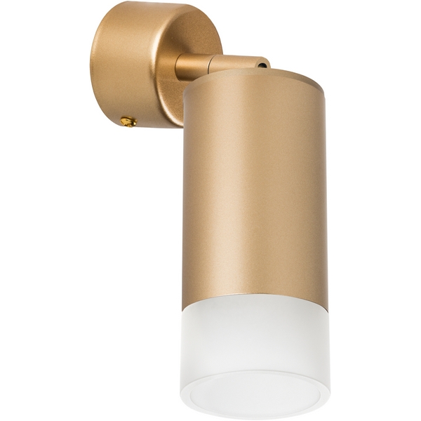 Спот (214440+590010+202431) Lightstar RULLO RB4401031-81868