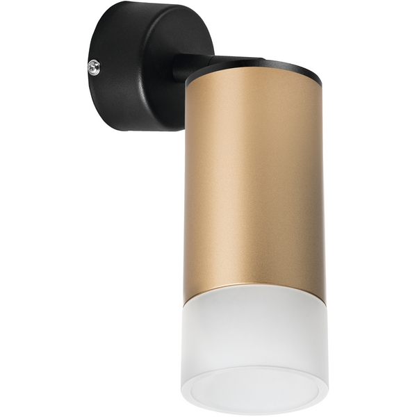 Спот (214440+590007+202431) Lightstar RULLO RB44031-81868