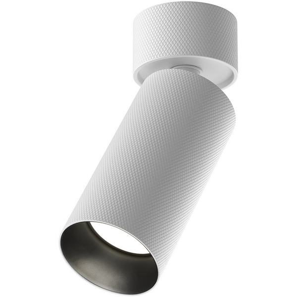 Потолочный спот Maytoni Artisan C082CL-01-GU10-W-53371