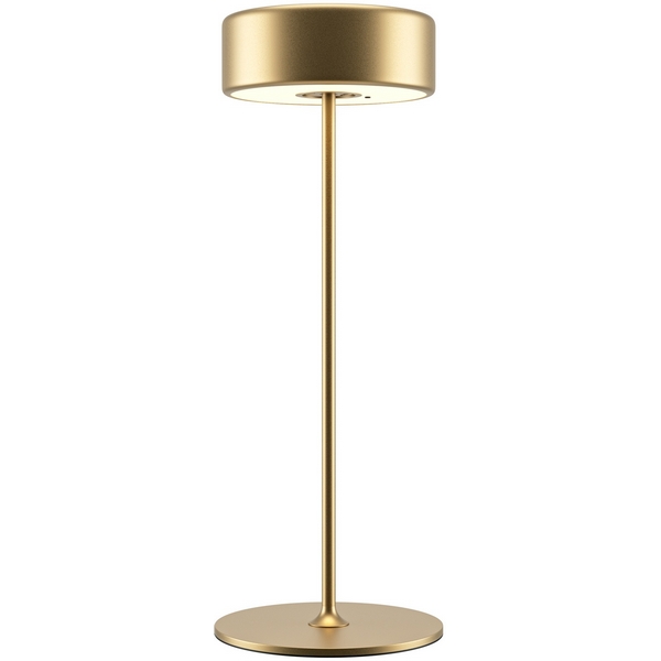 Настольная лампа светодиодная с аккумулятором Maytoni AI Collaboration MOD229TL-L3G3K2-41333