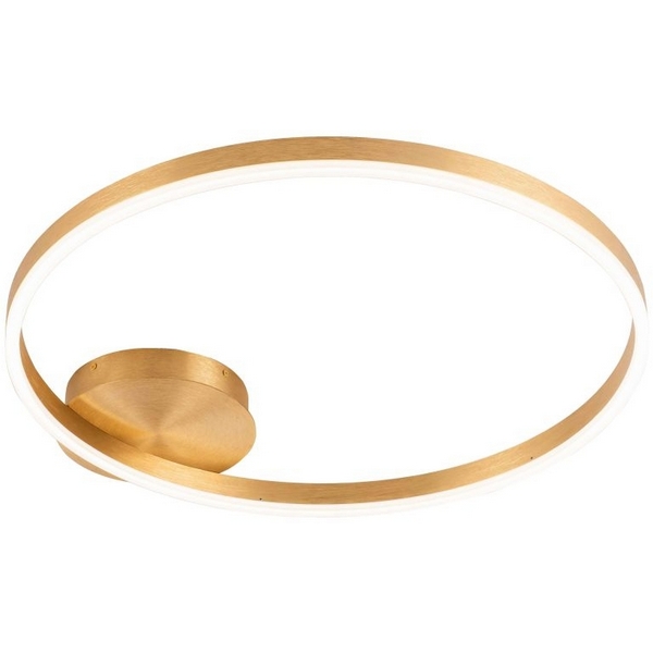 Потолочный светодиодный светильник с пультом Stilfort Planetary 4005/05/01C-80814 кольцо