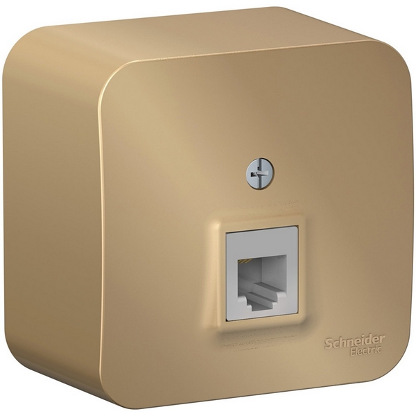 Телефонная розетка RJ-11 (титан) Systeme Electric Blanca BLNIA011004-33295