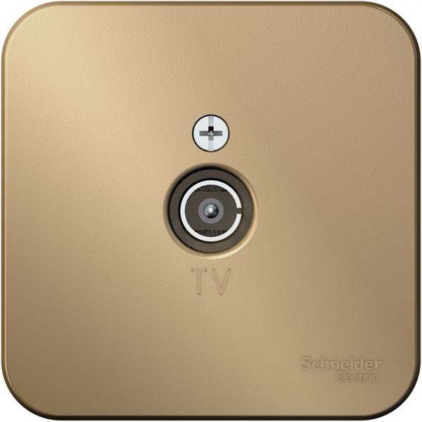 ТВ-розетка оконечная (титан) Systeme Electric Blanca BLNTA000014-04241