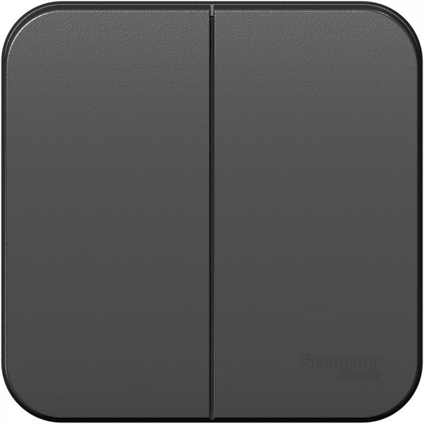 Выключатель двухклавишный (антрацит) Systeme Electric Blanca BLNVA105006-51721