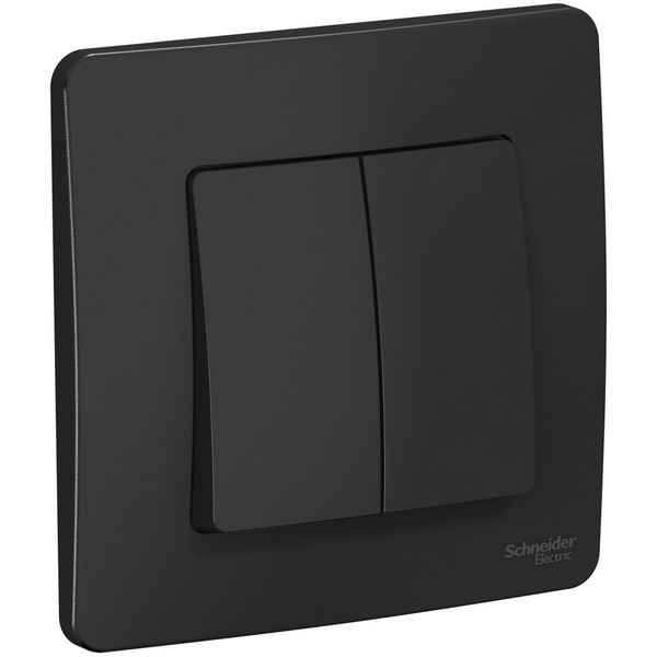 Выключатель двухклавишный (антрацит) Systeme Electric Blanca BLNVS010506-99651