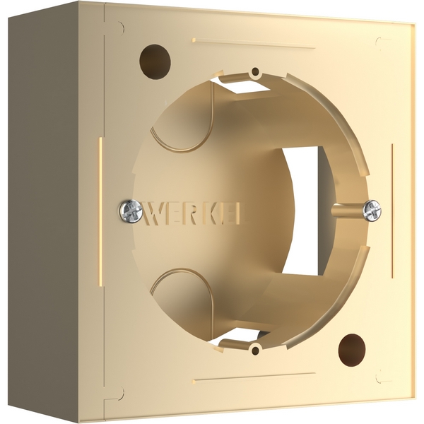 Коробка для накладного монтажа (шампань) Werkel W8000011-92806 (a053529)