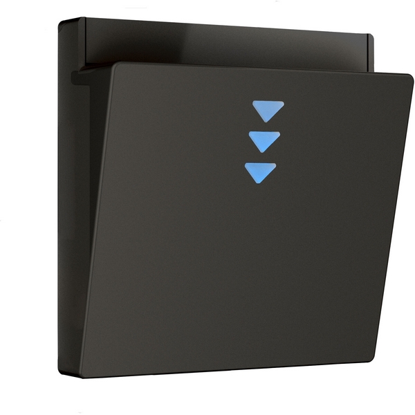 Накладка для электронного карточного выключателя (черный) Werkel W1163108-92806 (a062006)