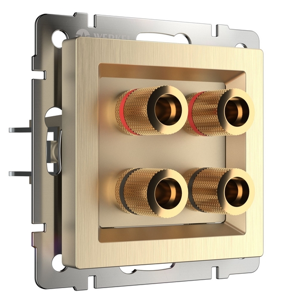 Акустическая розетка (шампань рифленый) Werkel W1185010-97537 (a051421)