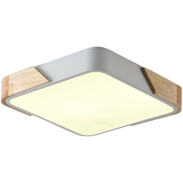 Потолочный светодиодный светильник Zortes Alberro ZRS.01285.24-61677