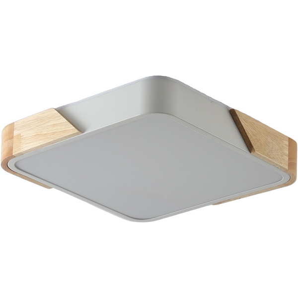 Потолочный светодиодный светильник Zortes Alberro ZRS.01285.48-61677