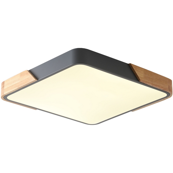 Потолочный светодиодный светильник Zortes Alberro ZRS.01288.48-61677