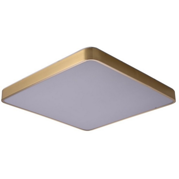 Потолочный светодиодный светильник Zortes Monna ZRS.1209.05-04372