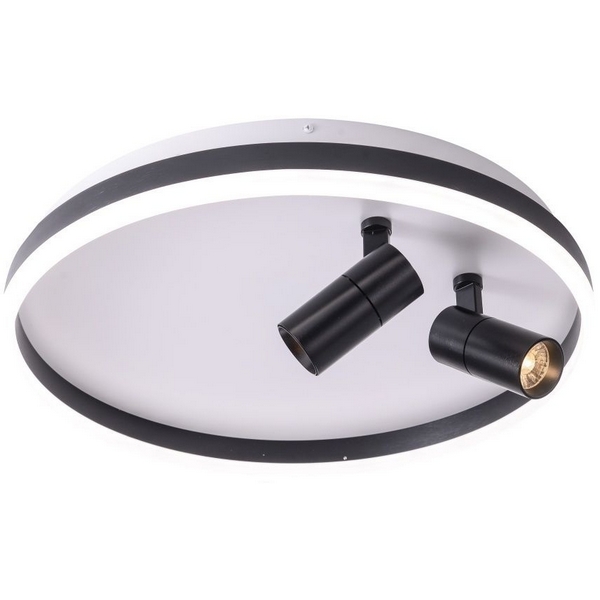 Потолочный светодиодный светильник круглый со спотами Zortes Raizy ZRS.1888.01-02855