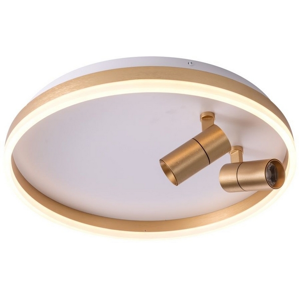 Потолочный светодиодный светильник круглый со спотами Zortes Raizy ZRS.1888.02-02855