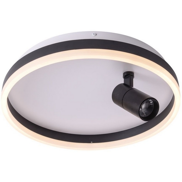 Потолочный светодиодный светильник круглый со спотом Zortes Raizy ZRS.1888.03-02855